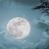 Phân tích bài thơ Ánh trăng của Nguyễn Duy