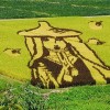 Em hãy giới thiệu về cấy lúa Việt Nam