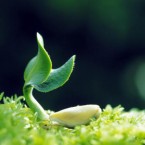 Hãy kể lại một việc làm tốt của bản thân khiến em cảm thấy vui lòng
