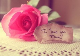 Tử Cống liền thưa:  Người trí là người biết người; người nhân là người yêu người...
