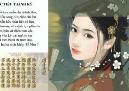 Phân tích bài thơ Đọc tiểu thanh kí của Nguyễn Du