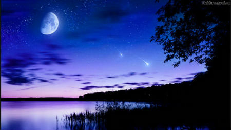 Hãy khám phá bức ảnh về đêm trăng đẹp nhất để trải nghiệm vẻ đẹp của trăng và ánh sáng trong không gian tối. Bạn có thể ngắm trăng một mình hay với người yêu, đều thấy rất lãng mạn và đầy cảm xúc.