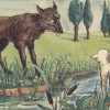 Phân tích bài Chó sói và cừu trong thơ ngụ ngôn của La Phông-ten